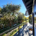 Mid Of Nature ' Bella Vista Maggiore Mit Traumhaften Seeblick, Terrasse Und Grossen Garten 別荘 *