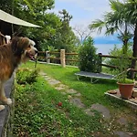 別荘 Mid Of Nature ' Bella Vista Maggiore Mit Traumhaften Seeblick, Terrasse Und Grossen Garten