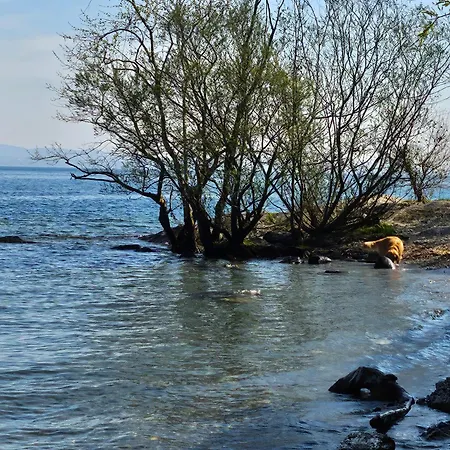 Mid Of Nature ' Bella Vista Maggiore Mit Traumhaften Seeblick Holiday home Ghiffa
