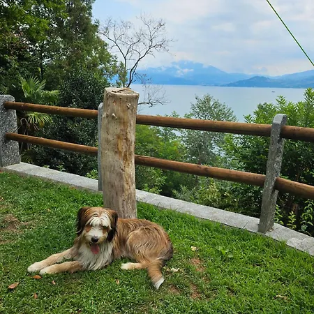 Mid Of Nature ' Bella Vista Maggiore Mit Traumhaften Seeblick, Terrasse Und Grossen Garten Casa vacanze Ghiffa