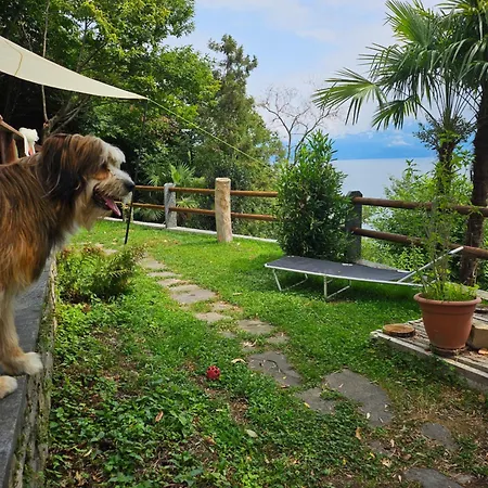 Casa vacanze Mid Of Nature ' Bella Vista Maggiore Mit Traumhaften Seeblick, Terrasse Und Grossen Garten