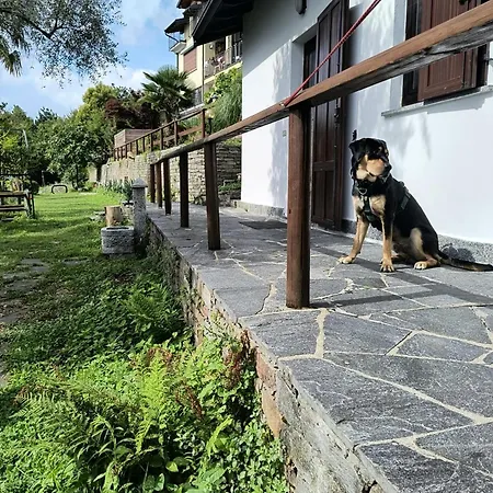 Mid Of Nature ' Bella Vista Maggiore Mit Traumhaften Seeblick, Terrasse Und Grossen Garten Holiday home Ghiffa